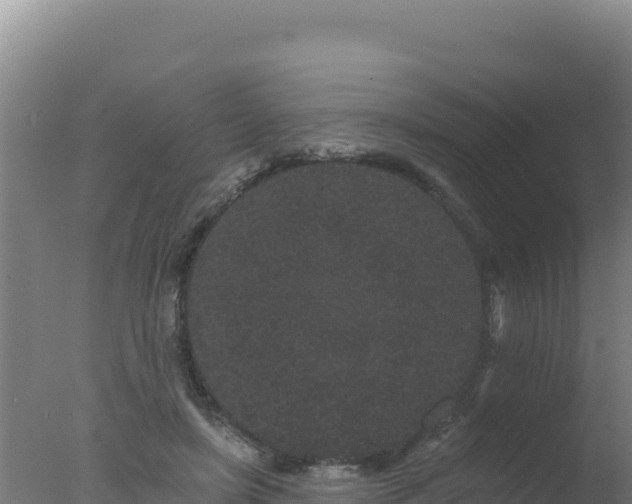 X0000077370451200610271924