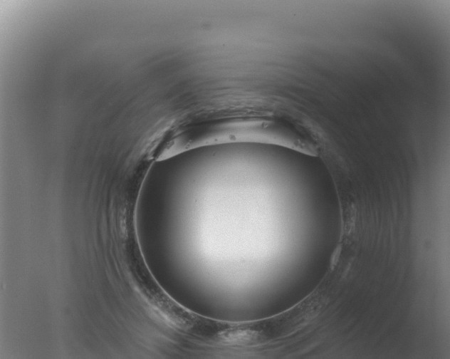 X0000077370452200610271924