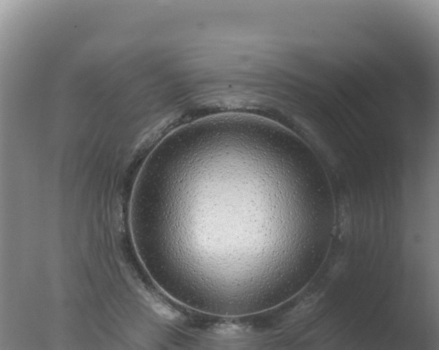 X0000077370453200610271924