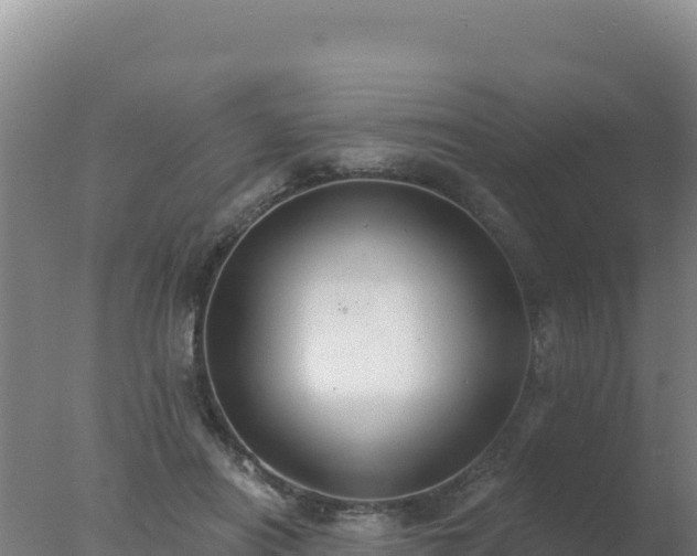 X0000077370454200610271924