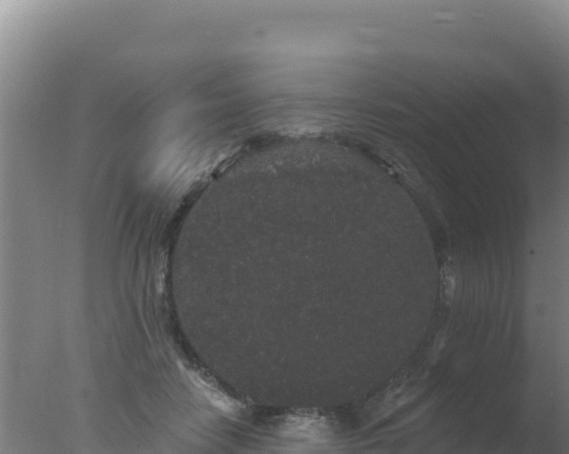 X0000077370458200610271924