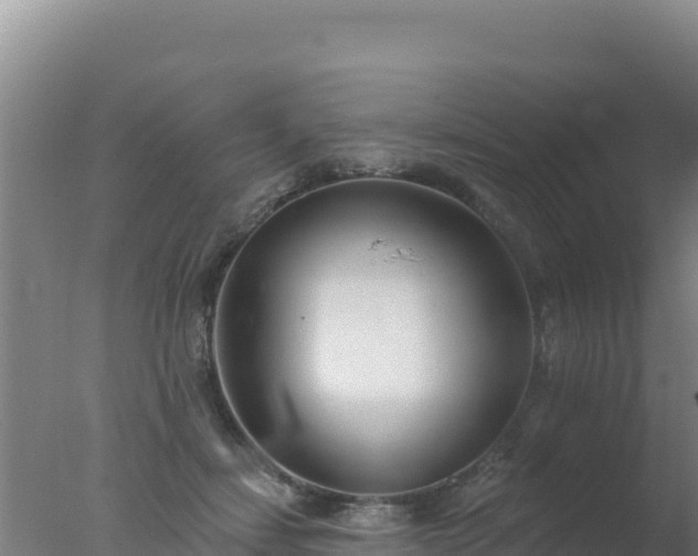 X0000077370459200610271924