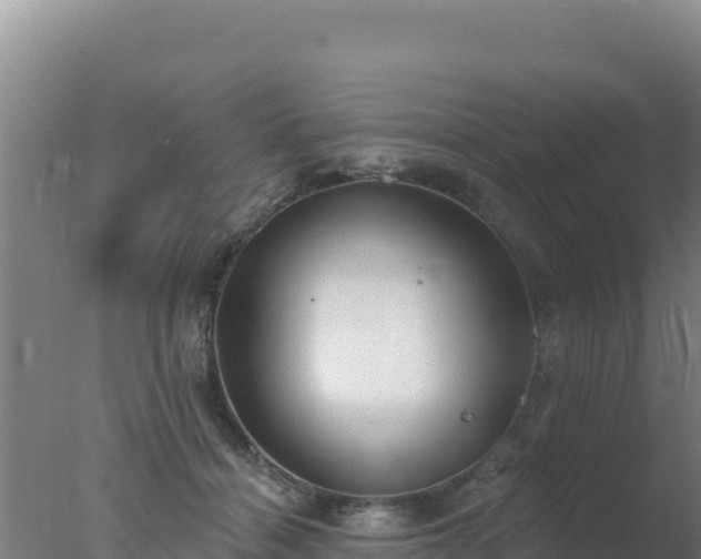 X0000077370460200610271924