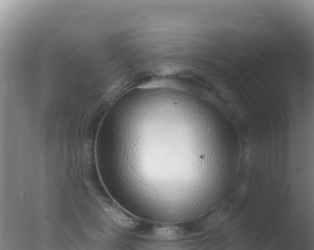 X0000077370461200610271924