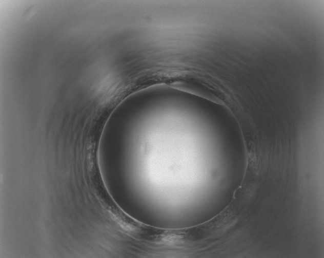 X0000077370462200610271924