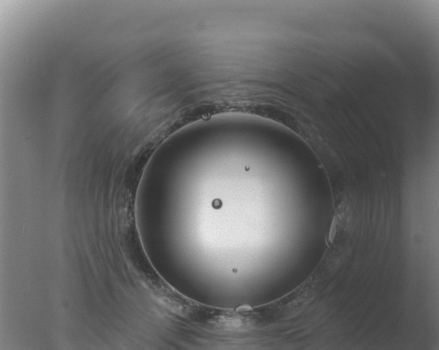 X0000077370464200610271924