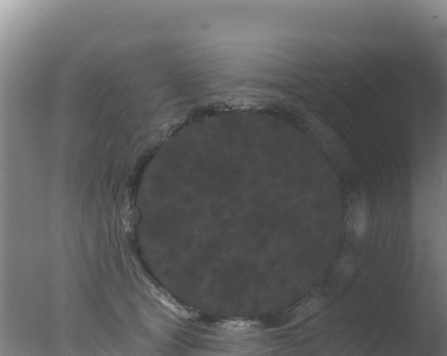 X0000077370465200610271924