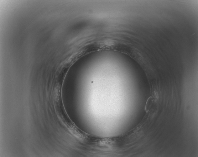 X0000077370468200610271925