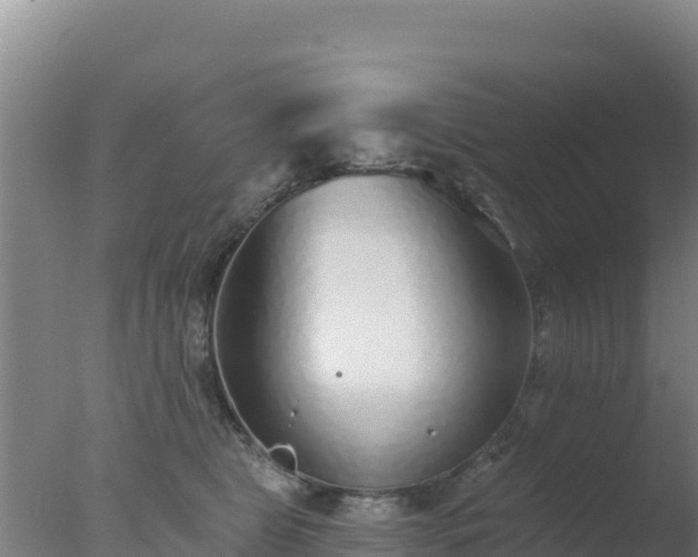 X0000077370469200610271925