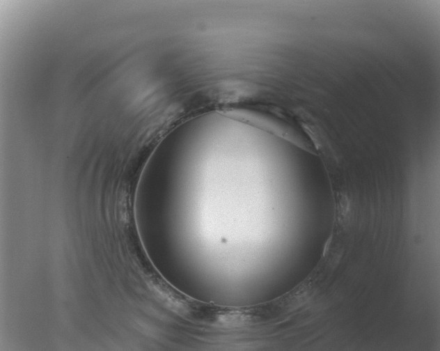 X0000077370470200610271925