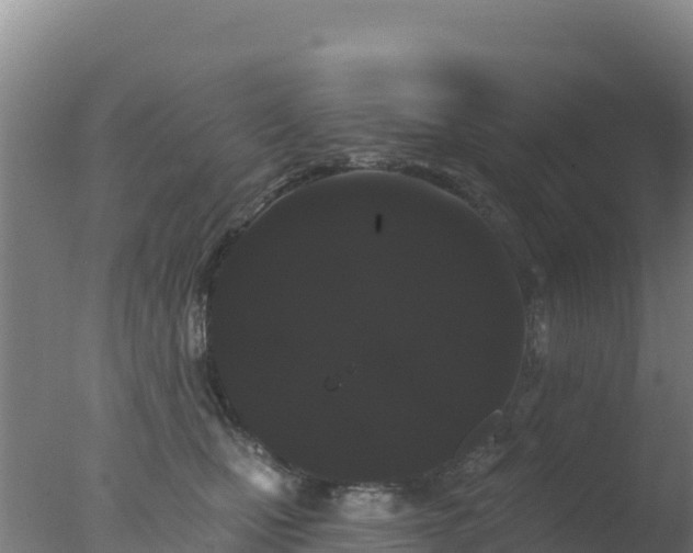 X0000077370471200610271925