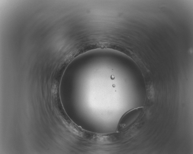 X0000077370472200610271925