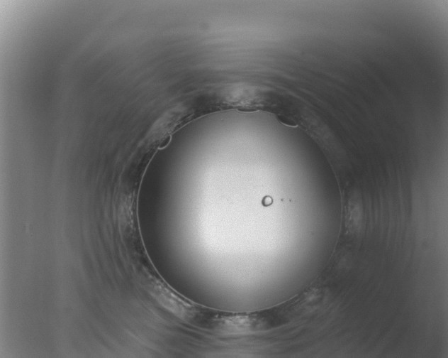 X0000077370473200610271925