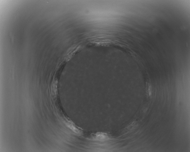 X0000077370475200610271925