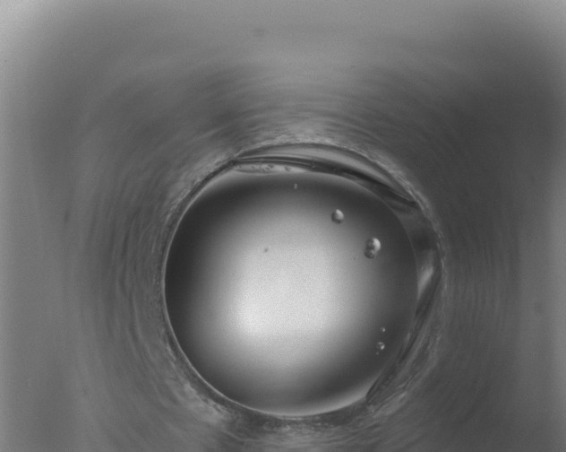 X0000077370481200610271924