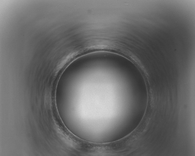 X0000077370482200610271924