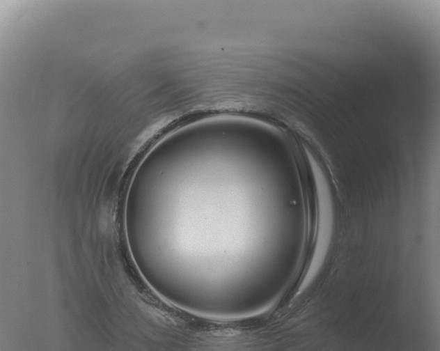 X0000077370483200610271924