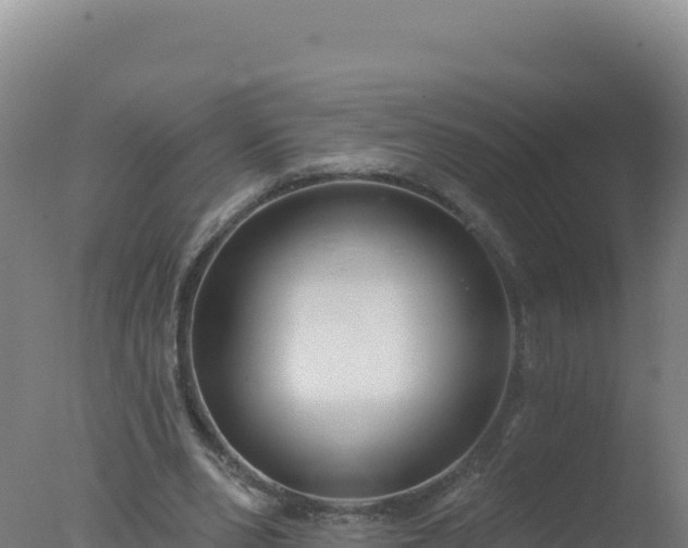 X0000077370486200610271924