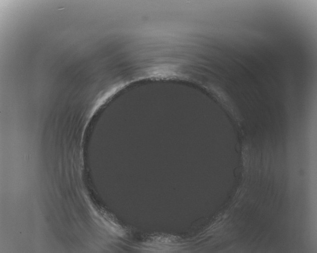 X0000077370488200610271924