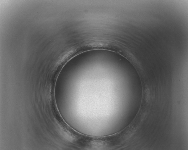 X0000077370490200610271924