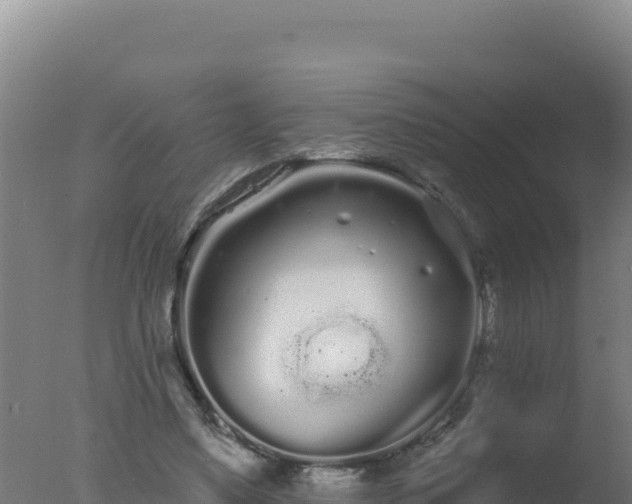 X0000077370491200610271924