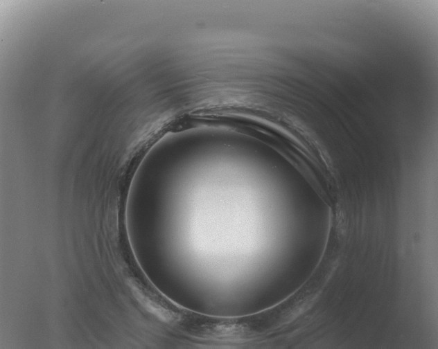 X0000077370493200610271924