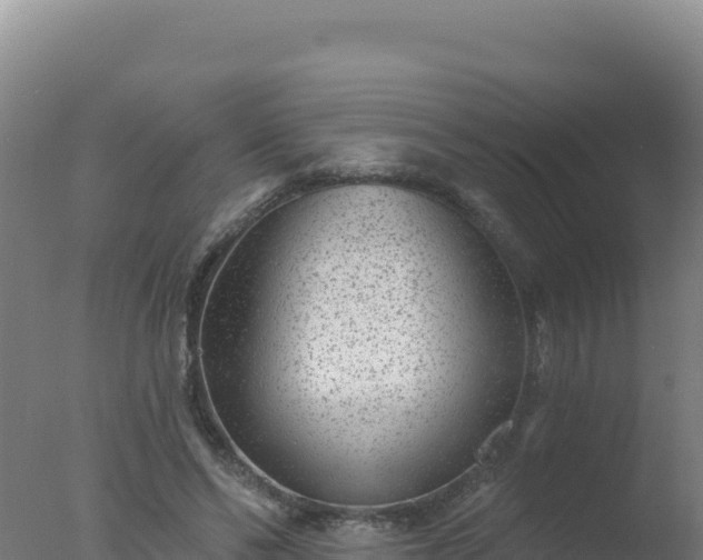 X0000077370494200610271924