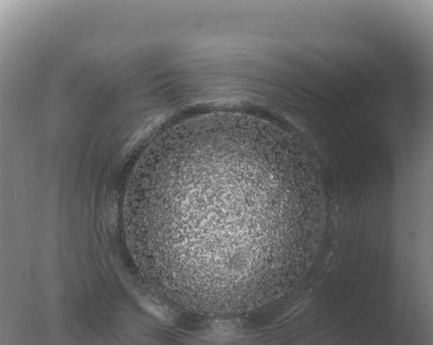 X0000077370495200610271924