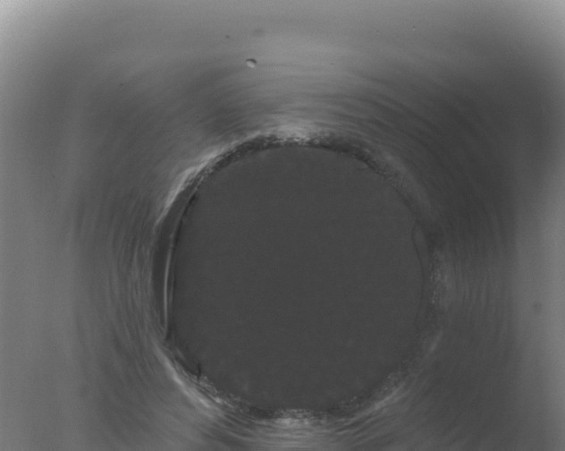 X0000077370496200610271924