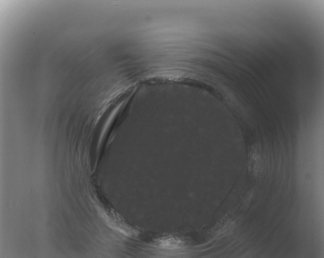 X0000077370500200610271924