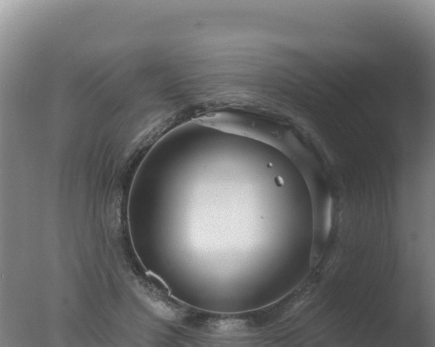 X0000077370501200610271924