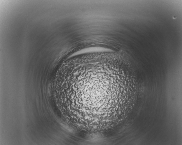 X0000077370503200610271924