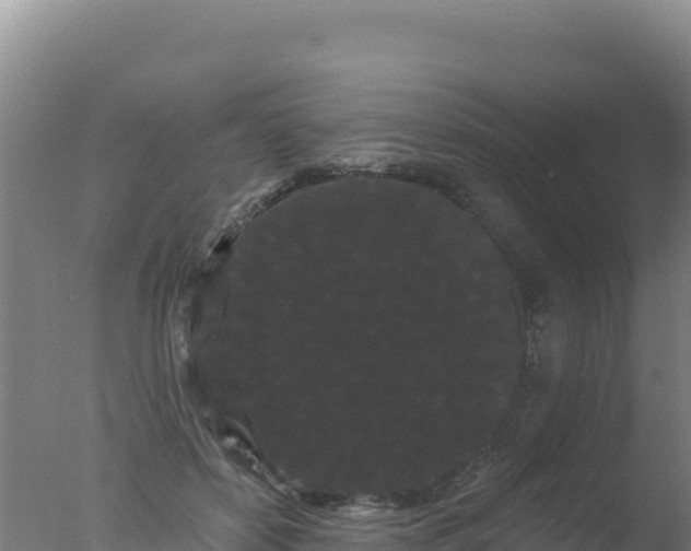 X0000077370504200610271924