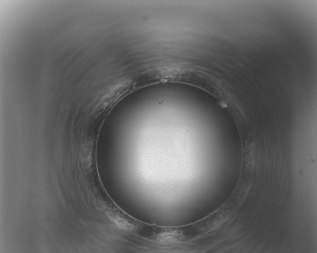 X0000077370505200610271924