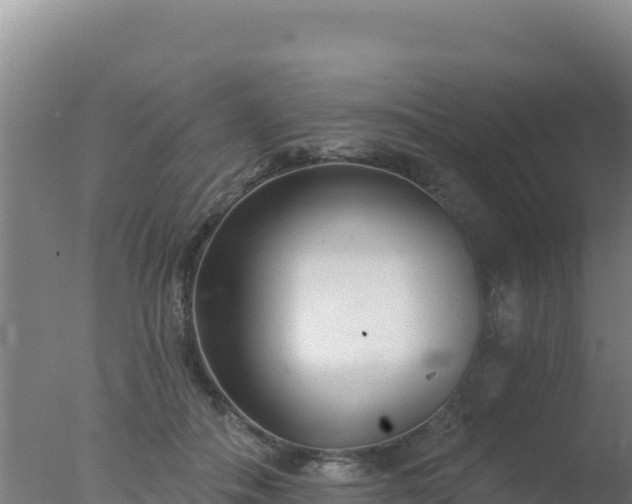 X0000077370506200610271924