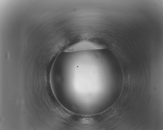 X0000077370508200610271923