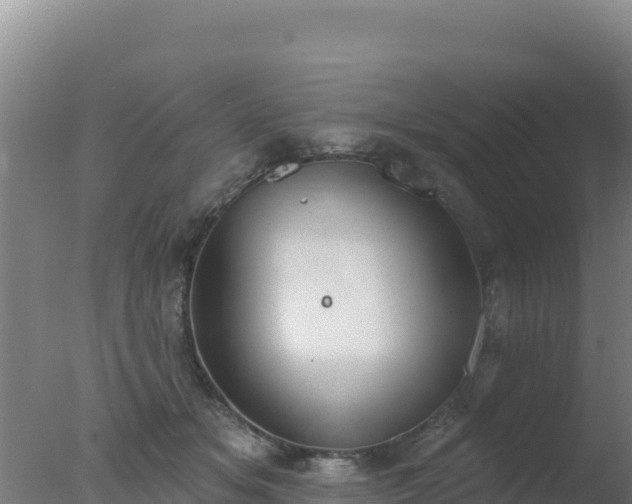 X0000077370509200610271923