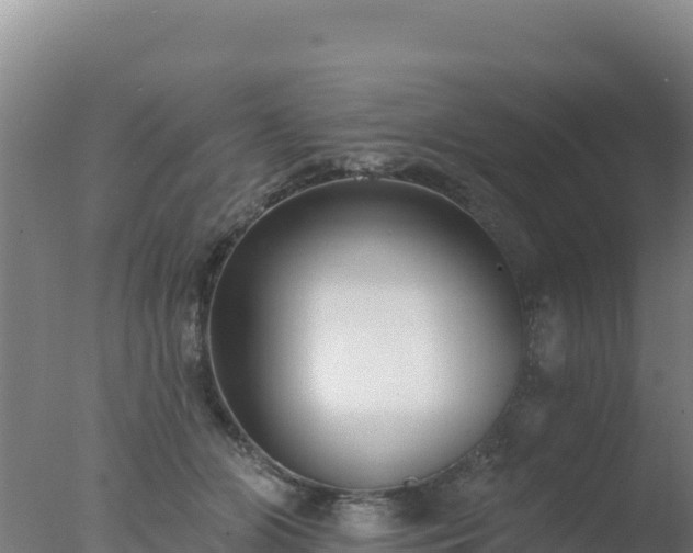 X0000077370510200610271923