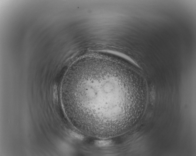 X0000077370511200610271923