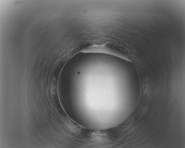 X0000077370515200610271923