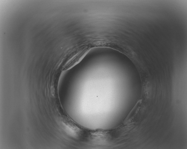 X0000077370516200610271923