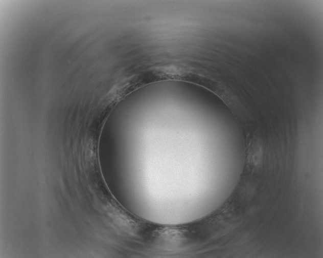 X0000077370518200610271923