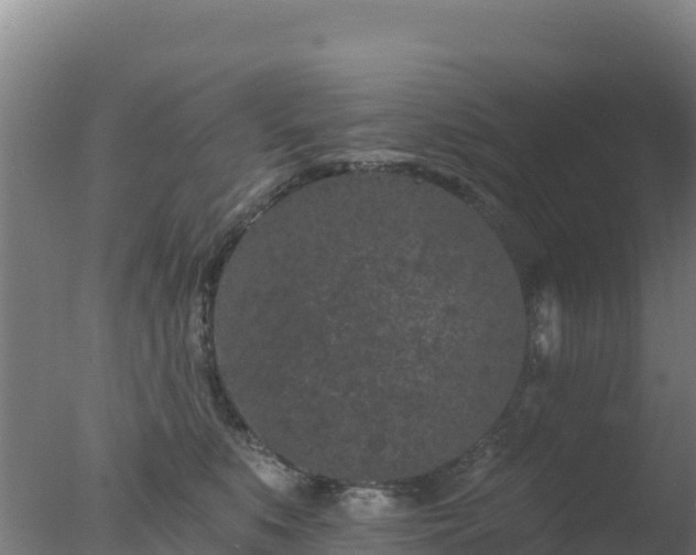 X0000077370519200610271923