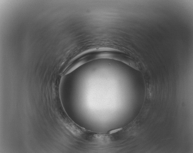 X0000077370520200610271923