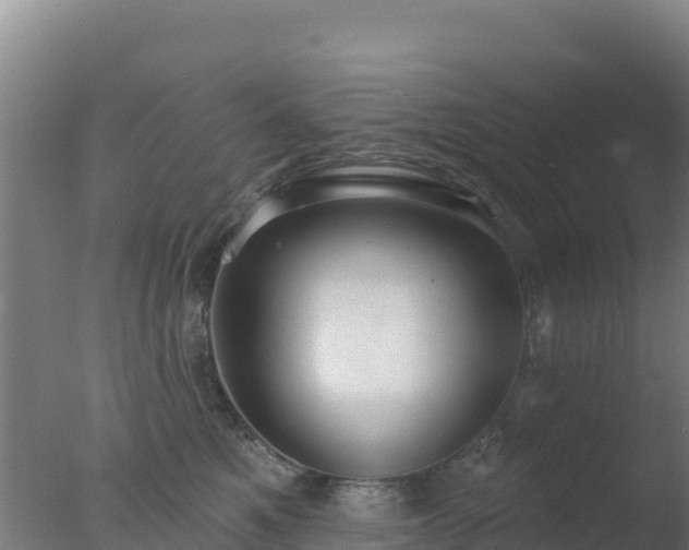 X0000077370521200610271923