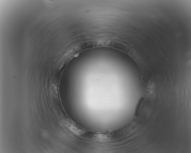 X0000077370522200610271923