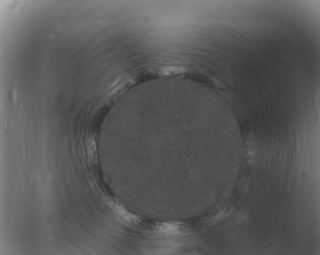 X0000077370523200610271923