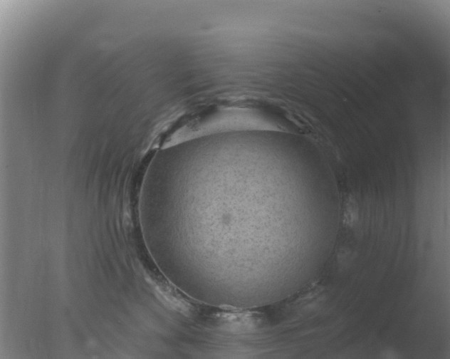 X0000077370524200610271923