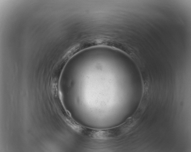 X0000077370527200610271923