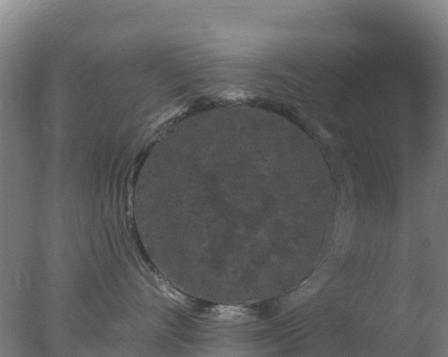 X0000077370528200610271923